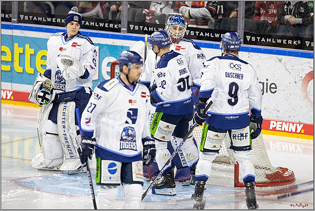 PENNY DEL;  Koelner Haie - Straubing Tigers; Koeln, 28.12.2022